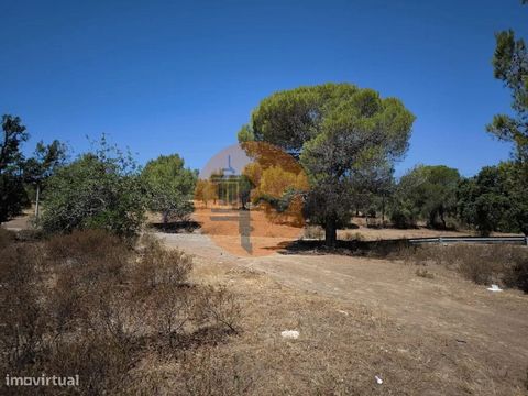 Rustikales Grundstück mit 22.320 m2 - in Rio Seco - Castro Marim - Algarve. Möglichkeit des Aufbaus von landwirtschaftlichen Beihilfen. Zufahrt über Asphalt. Flaches Gelände. Mit guter Zufahrt. Blick auf das Spielfeld. Mit einigen Bäumen, Kiefern und...