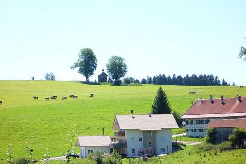 Ons vakantieappartement is gelegen in Stiefenhofen, 