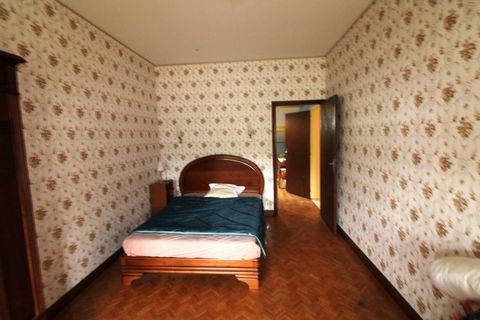 photo no. 10