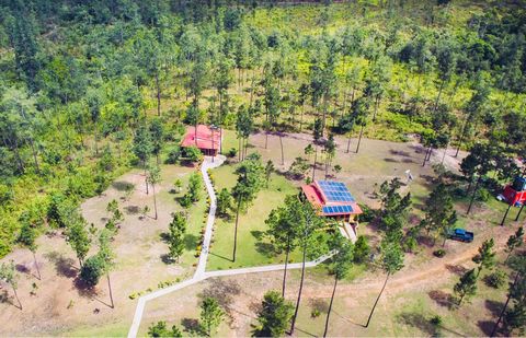 Prachtig landgoed van 4,9 hectare gelegen in het hart van de Mountain Pine Ridge Forest Reserve (Cayo District). Dit landgoed biedt 3 volledig ingerichte villa's/huizen, een personeelswoning, een mineraalzwembad van 15.000 gallon, een toren van 120 v...