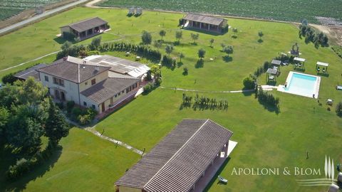 Posizione esclusiva all’interno del Parco dell’Uccellina, a 5 minuti dal mare, in vendita casale padronale e tre casali per ospiti, giardino, piscina, licenza agrituristica e ristorante. Immerso nel verde del Parco Naturalistico dell’Uccellina nel cu...