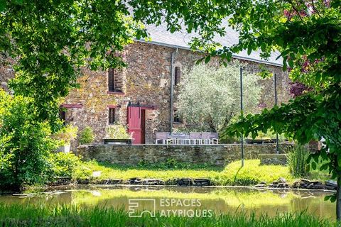 This magnificent property on the edge of a medieval Segréen village, reveals a very beautiful 15th Century Manor House of approximately 307m2 of living space, as well as old outbuildings converted into gîtes and guest rooms of approximately 500m2 of ...