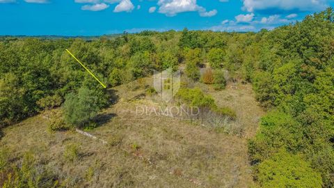 Location: Istarska županija, Grožnjan, Grožnjan. Istria, Grožnjan! Just an 8-minute drive from the beautiful town of Grožnjan, located in a quiet location, there is this exceptional building plot! The total area of ​​the land is 4,622 m2 and is compl...