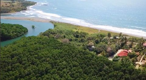 Marzysz o wyjątkowej okazji inwestycyjnej w Guanacaste? Oto Twoja szansa! Ta wyjątkowa nieruchomość przy plaży obejmuje 6,6 akrów i szczyci się 35 literami wodnymi do zagospodarowania, oferując bezpośredni dostęp do ponad 800 stóp nietkniętych piaszc...