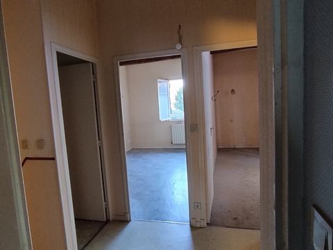 photo no. 11