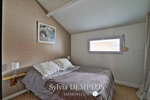 photo no. 12