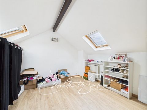 photo no. 12