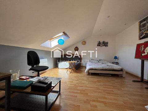 photo no. 11