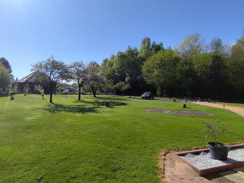 photo no. 9