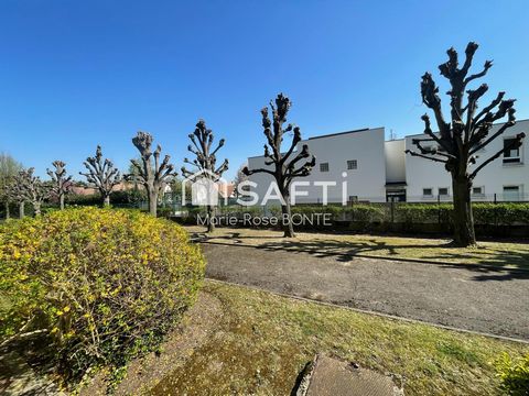 photo no. 1