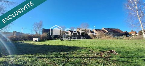 photo no. 11