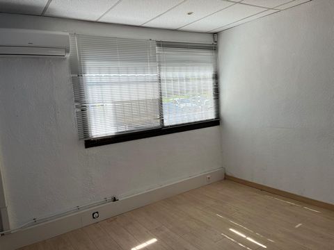 photo no. 13