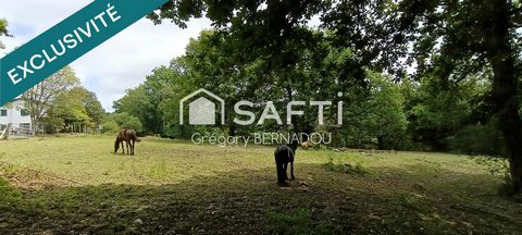 photo no. 12
