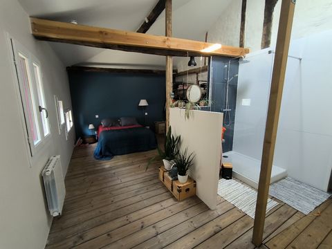 photo no. 19