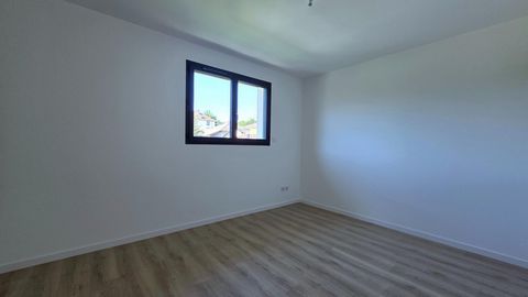 photo no. 13