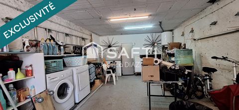 photo no. 12