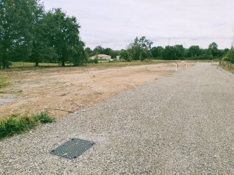 photo no. 4