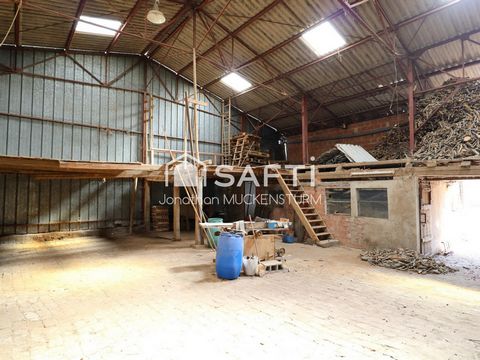 photo no. 19