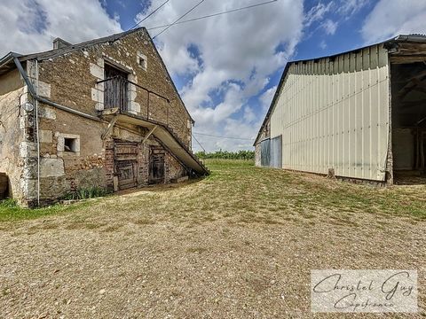 photo no. 2