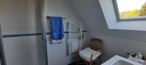 photo no. 6