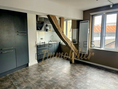Histoires d'Immobilier offers you an exclusive quiet apartment in a small condominium. It consists of a living room with its fitted and equipped kitchen, a bedroom with storage, a shower room, and a separate toilet. It also has a closed garage. The r...