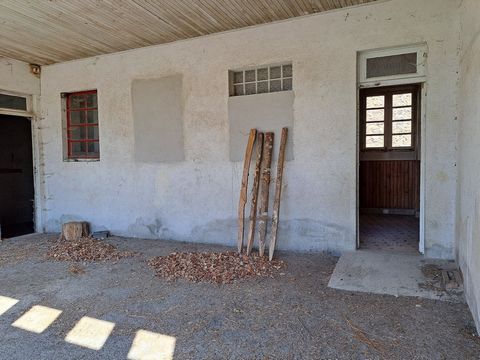 photo no. 13