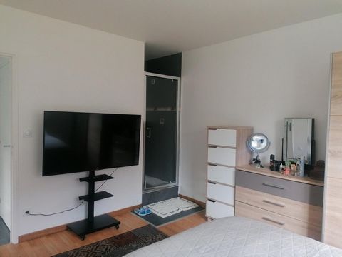 photo no. 8