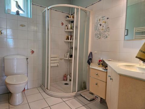 photo no. 6