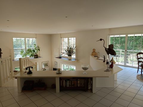 photo no. 15