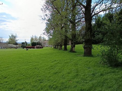 photo no. 17