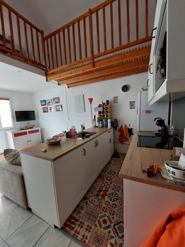 photo no. 7