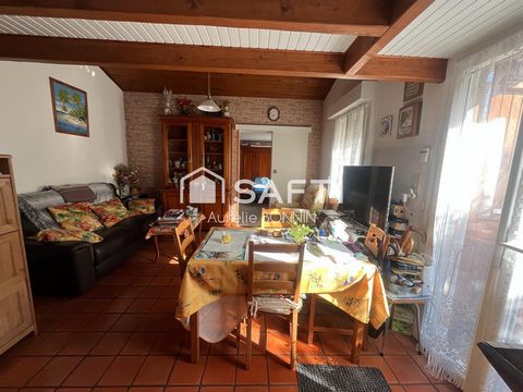 photo no. 11