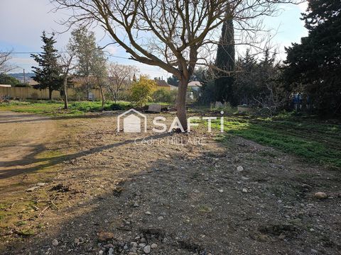 photo no. 2