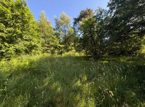 Terrain constructible 550m2
