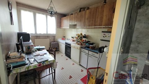 photo no. 12