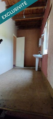 photo no. 10