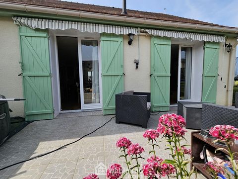 photo no. 11