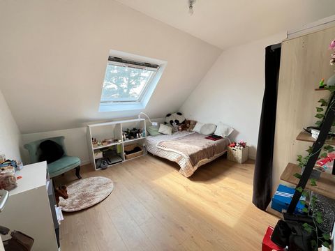 photo no. 5