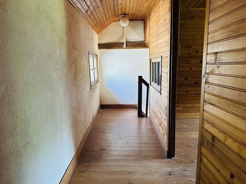 photo no. 9