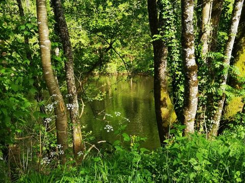 photo no. 13