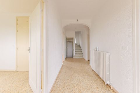photo no. 11