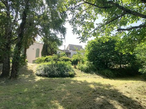photo no. 13
