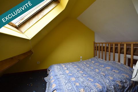 photo no. 12