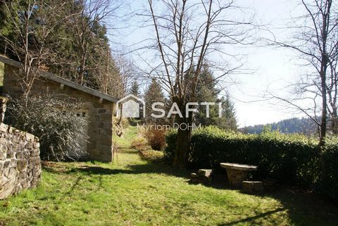 photo no. 17