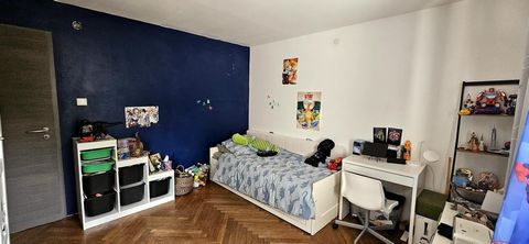 photo no. 6