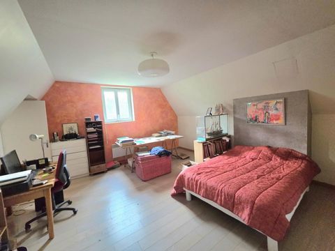 photo no. 19