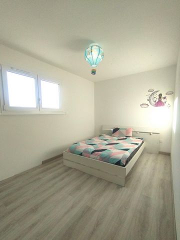 photo no. 6