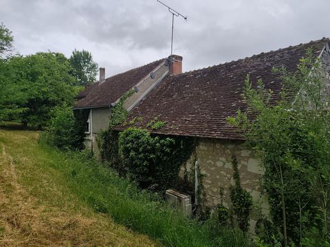 photo no. 15