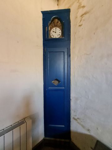 photo no. 12