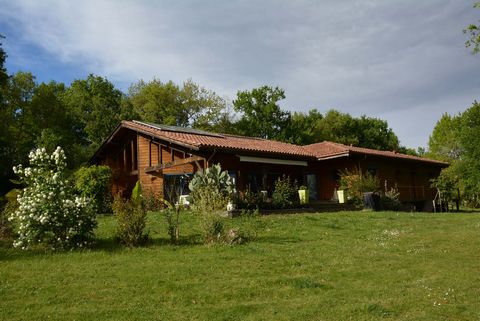 photo no. 12